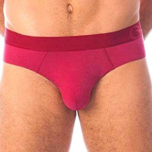 Obviously Downtown AnatoMAX Brief RED BRICK - Y38405